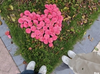 好漂亮啊不知道是谁拼好的